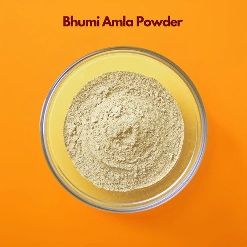 Bhumi Amla Powder