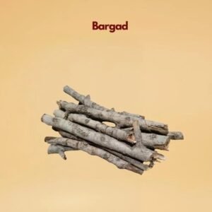 Bargad