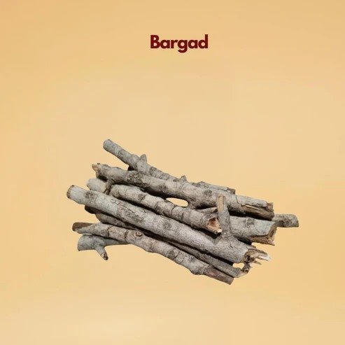 Bargad