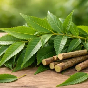 NEEM RAW