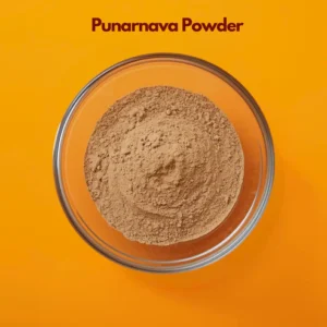 Punarnava Powder